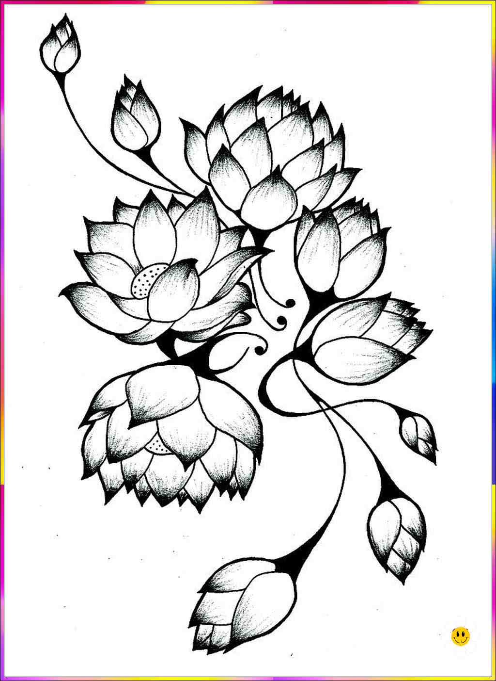 300+ Best Easy Flower Drawings » Flower Drawing