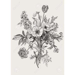 170-black-and-white-flower-drawing-flower-drawing
