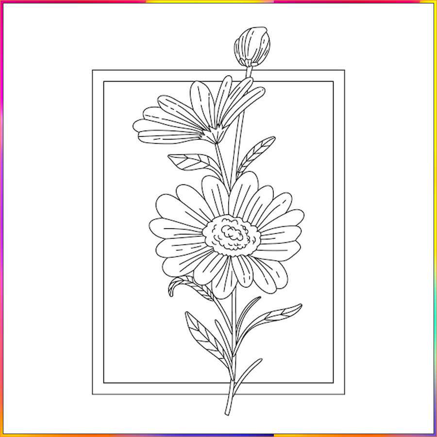 simple aster drawing