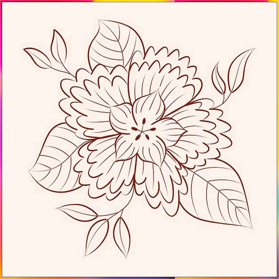 aster flower drawing