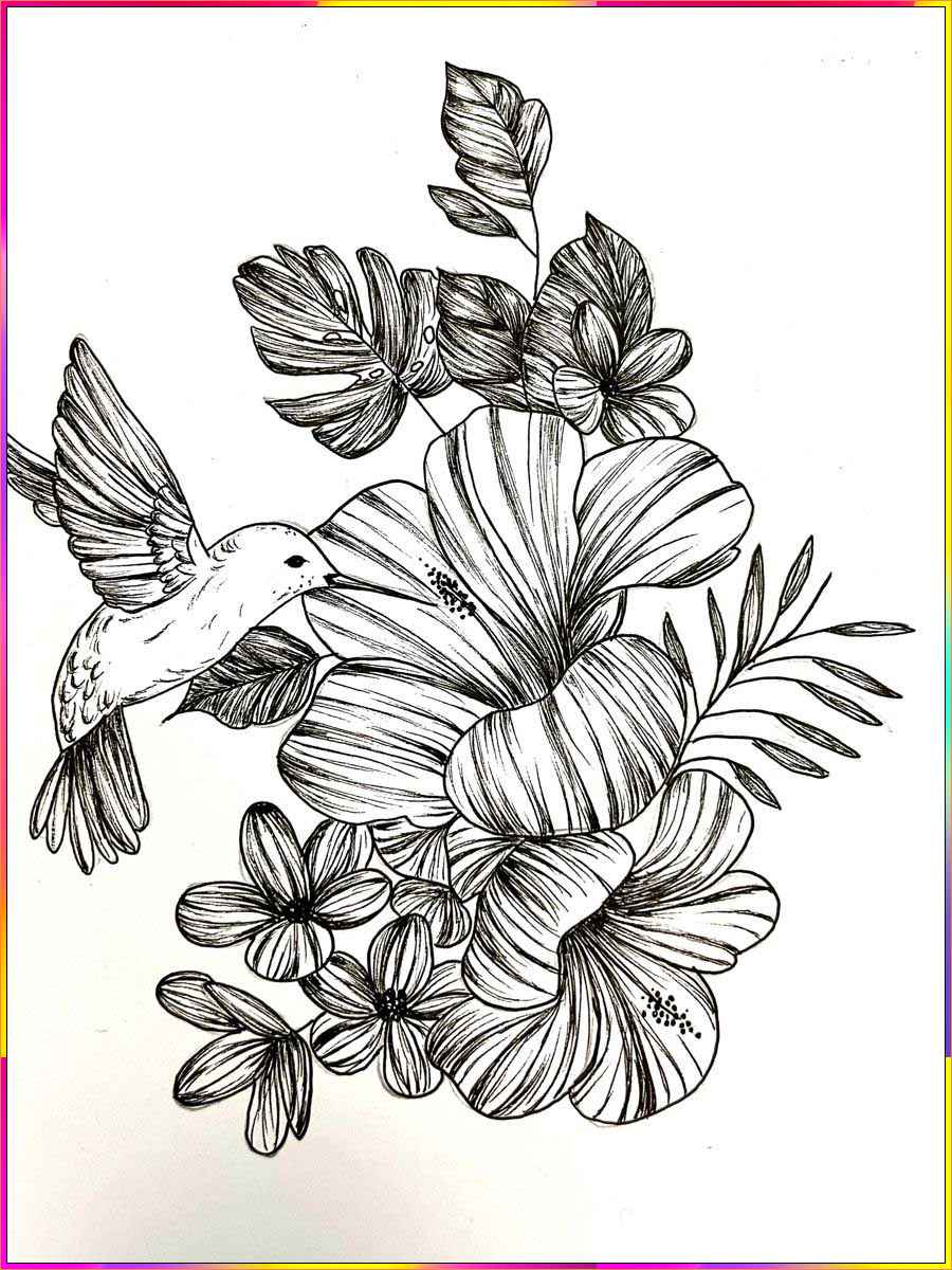 drawings of asters