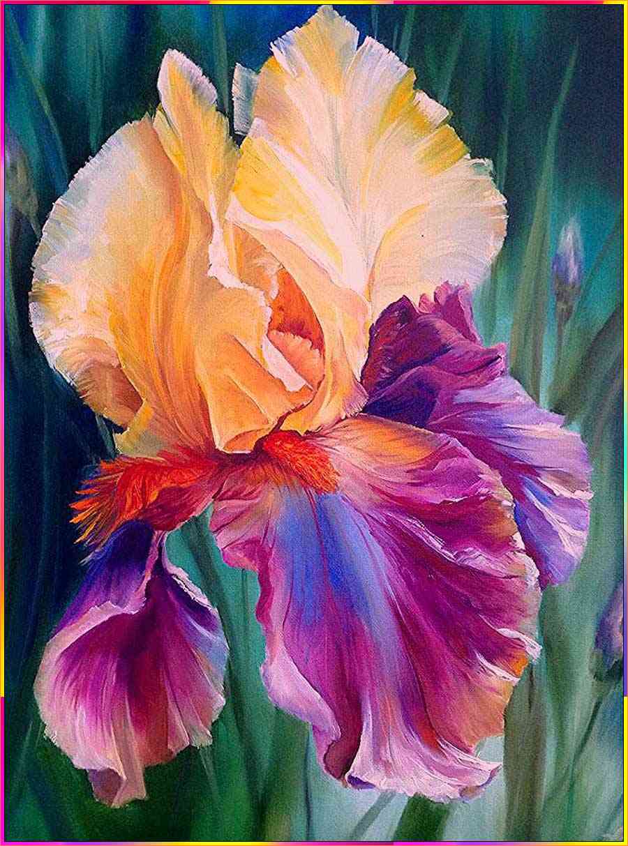easy iris flower drawing