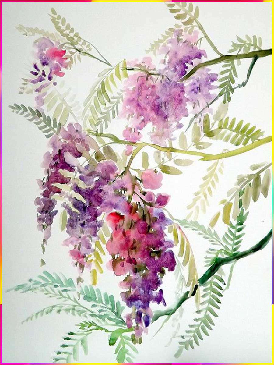 wisteria drawing images