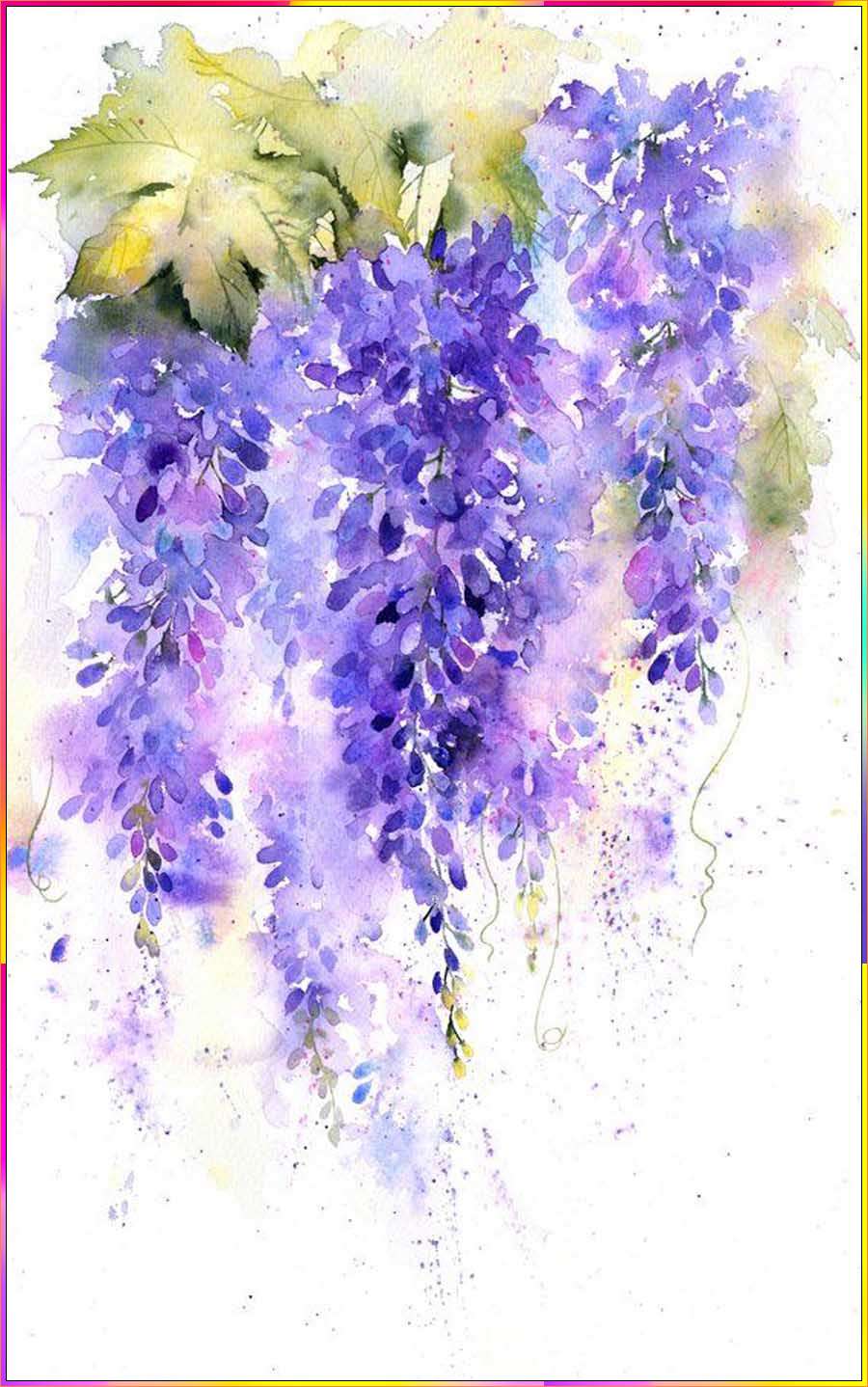 drawing wisteria flower